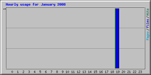 Hourly usage for January 2008