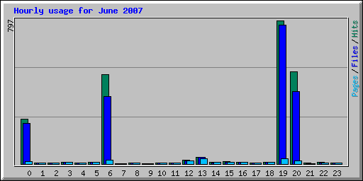 Hourly usage for June 2007